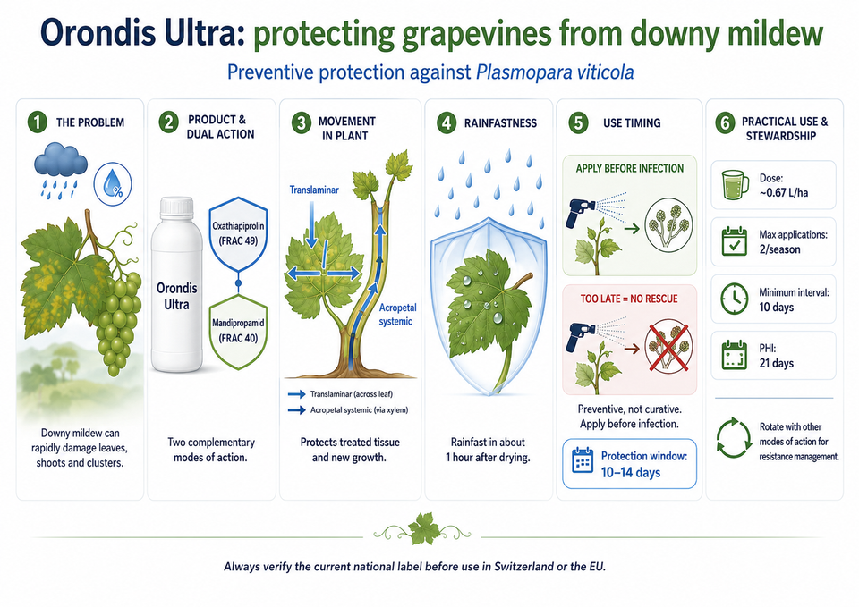 Orondis Ultra: Protecting Your Vineyard Against Downy Mildew